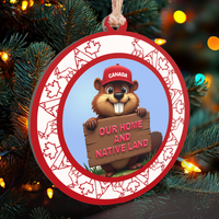 Canadian Pride Ornament Set